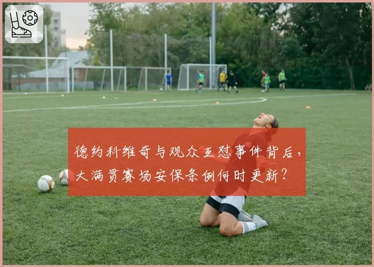德约科维奇与观众互怼事件背后，大满贯赛场安保条例何时更新？