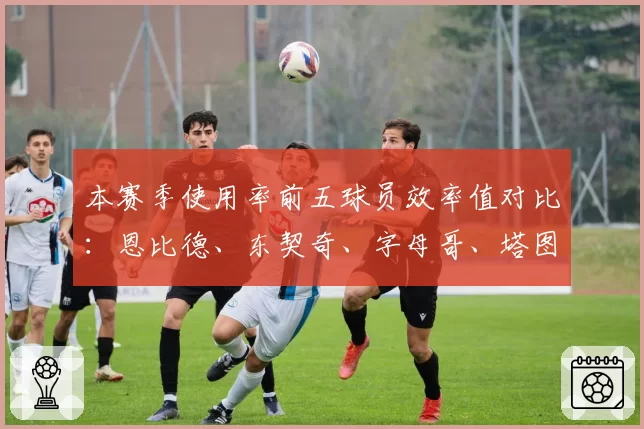 本赛季使用率前五球员效率值对比：恩比德、东契奇、字母哥、塔图姆、米切尔