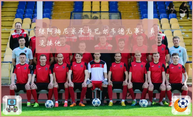 琼阿梅尼亲承与巴尔韦德无事：真没揍他