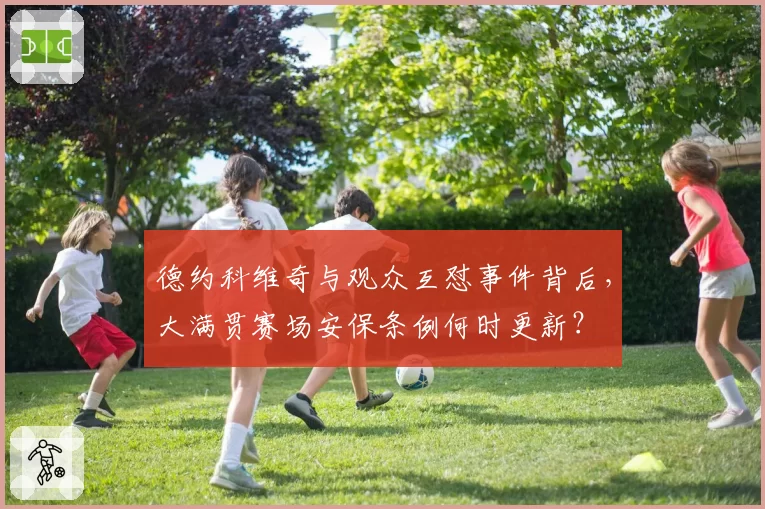 德约科维奇与观众互怼事件背后，大满贯赛场安保条例何时更新？