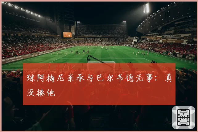 琼阿梅尼亲承与巴尔韦德无事：真没揍他